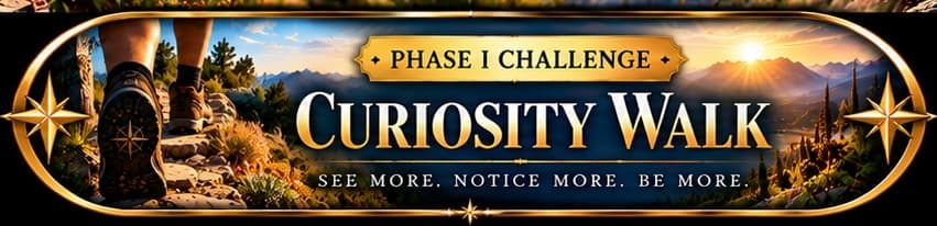 Button for Curiosity Walk.